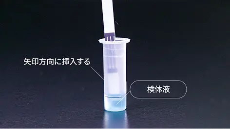 Biệt thự hiện đại — Sơn ngoại thất cao cấp